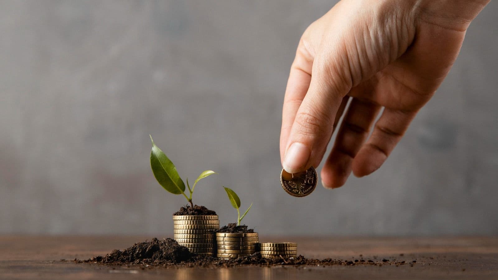 Mengenal Manfaat Investasi untuk Masa Depan Keuangan Lebih Aman