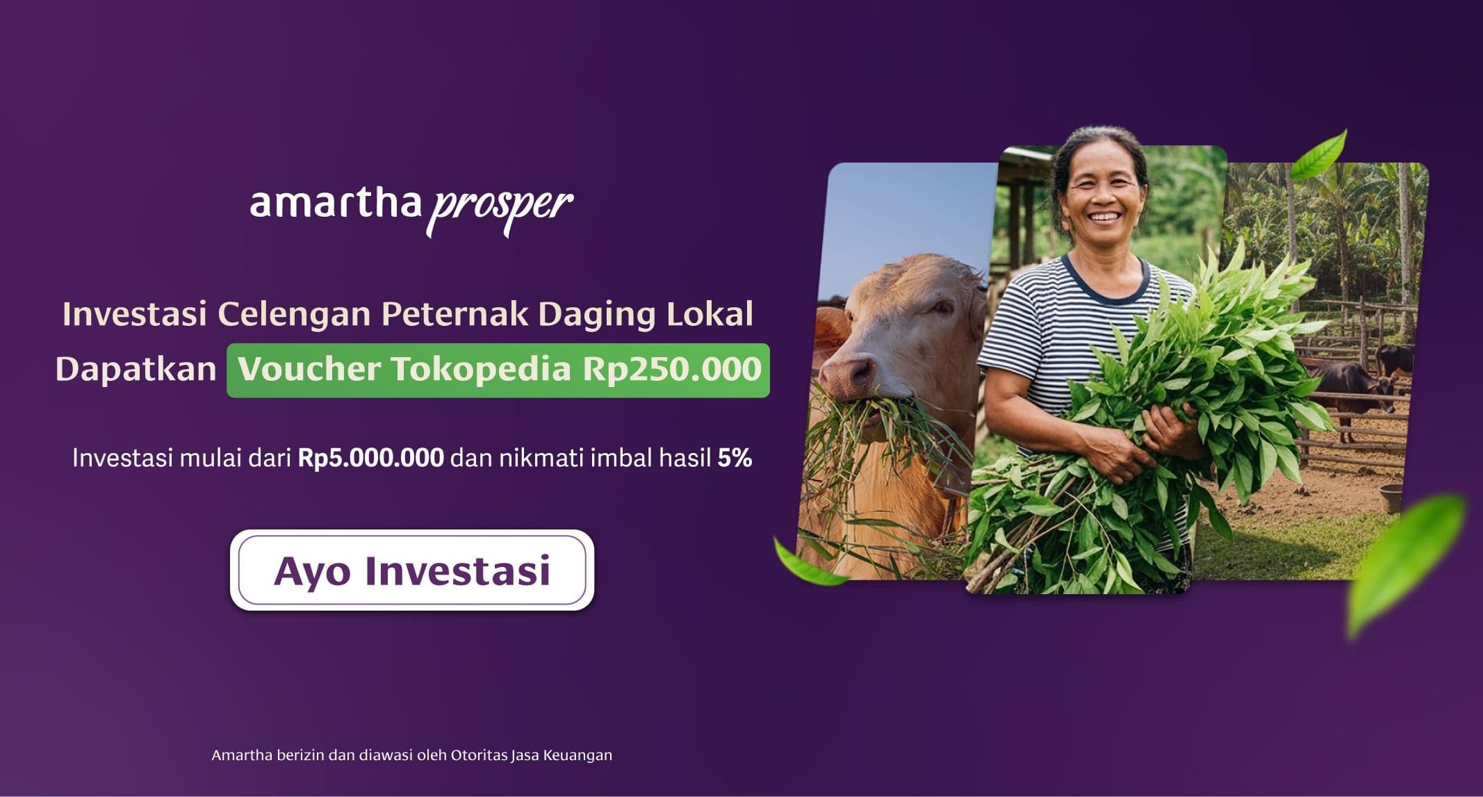 Coba Investasi di Katalog Celengan Peternakan Daging Lokal, Dapatkan Rp250.000 Voucher Belanja Digital