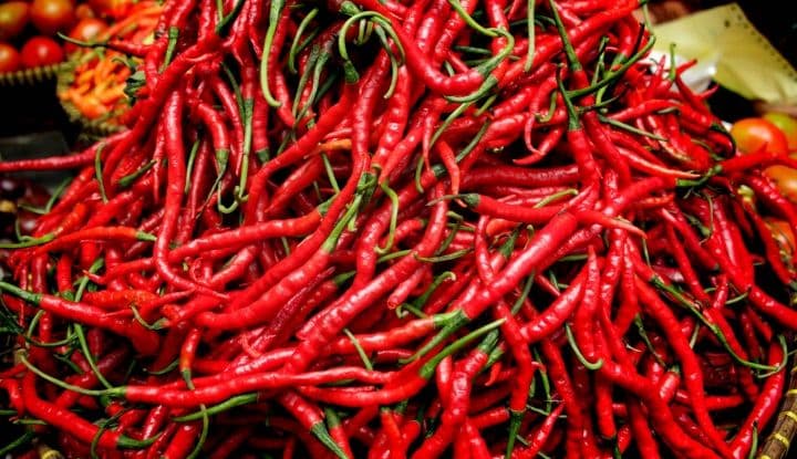 4 Tips Atasi Pedasnya Harga Cabai