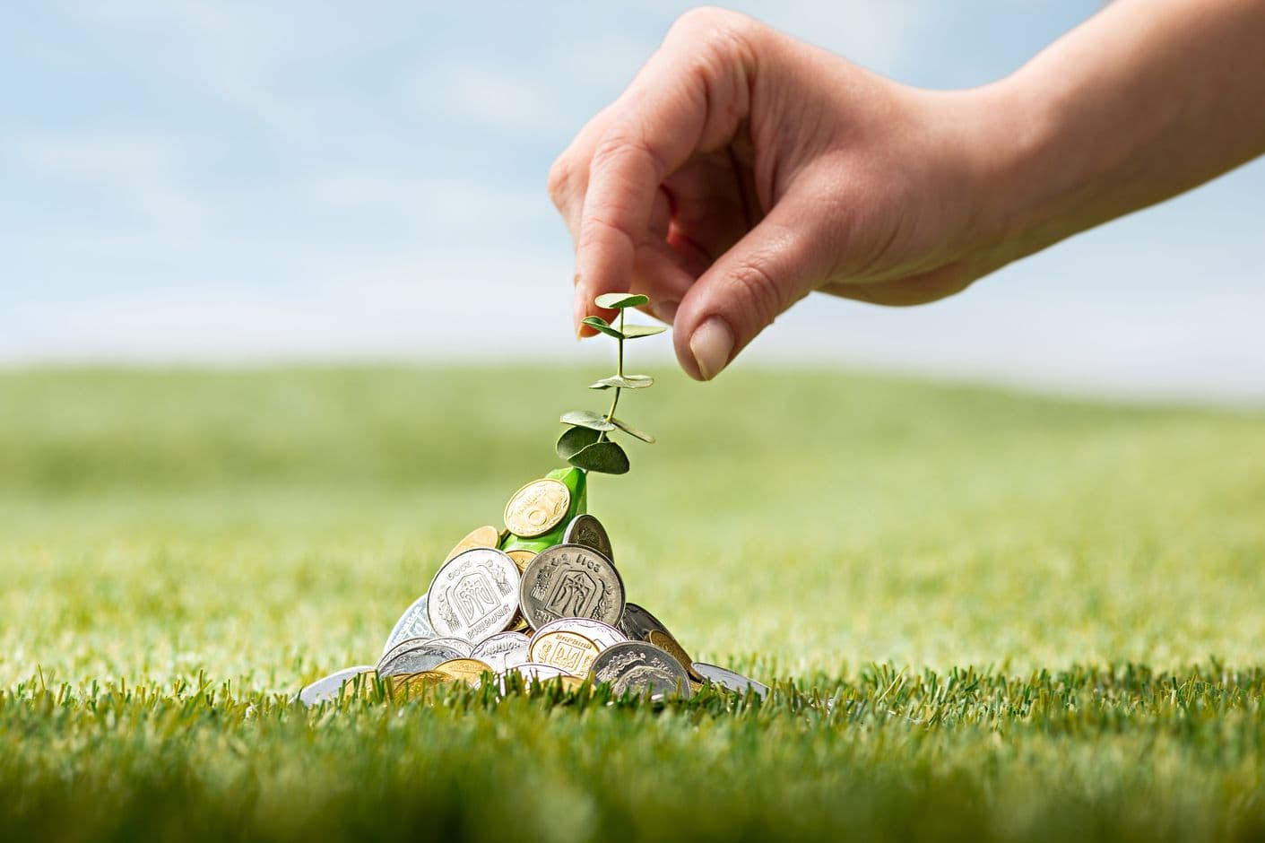 Investasi yang Menguntungkan, Cuan Bertambah!