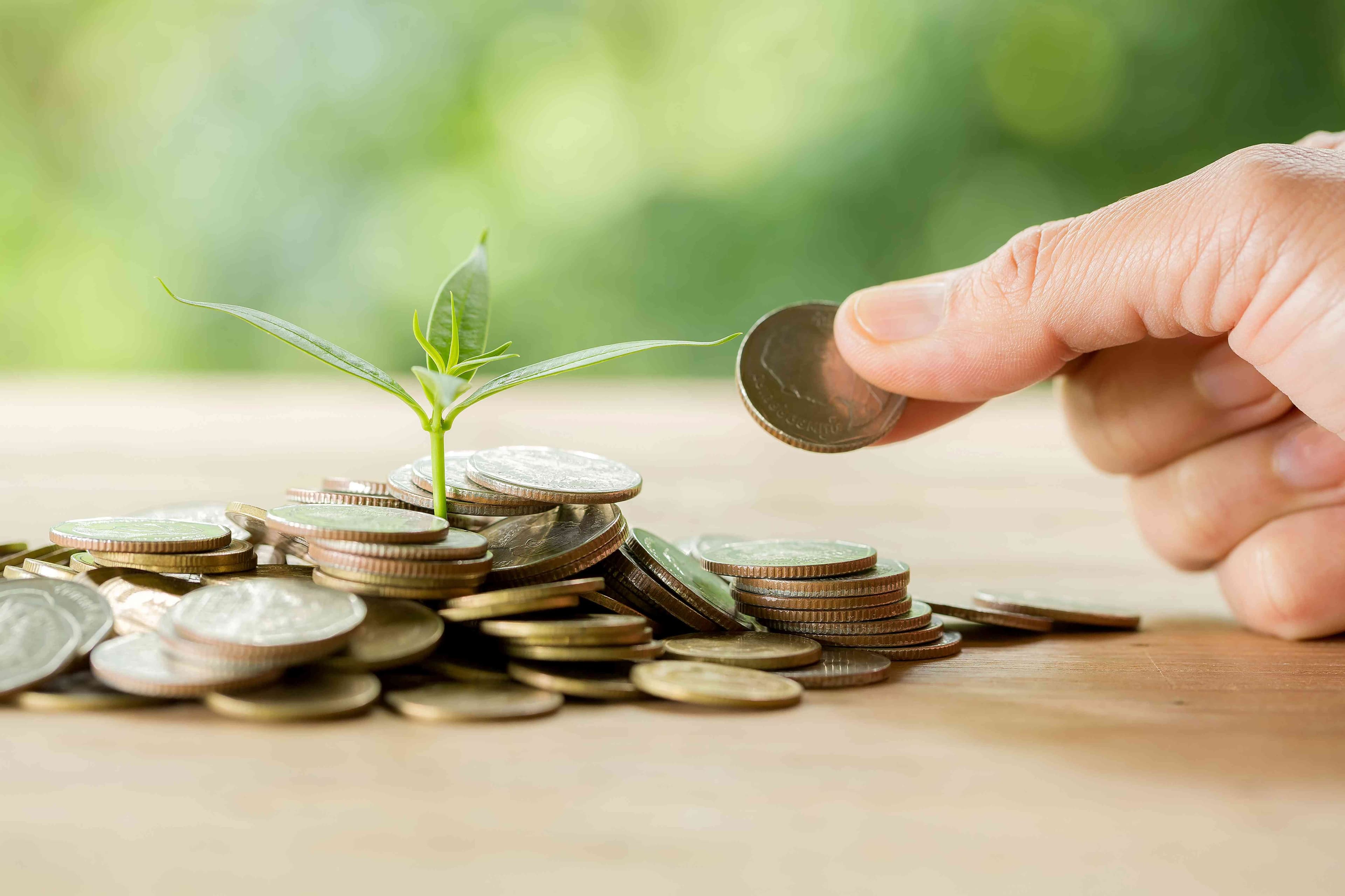 Cara Investasi dari Nol,  Langkah Aman untuk Pemula