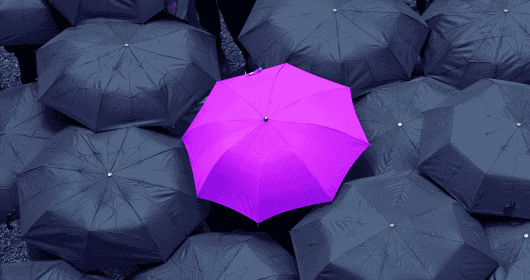 Umbrella Branding: Strategi Marketing Perusahaan Besar Yang Bisa Ditiru Small Business Owner