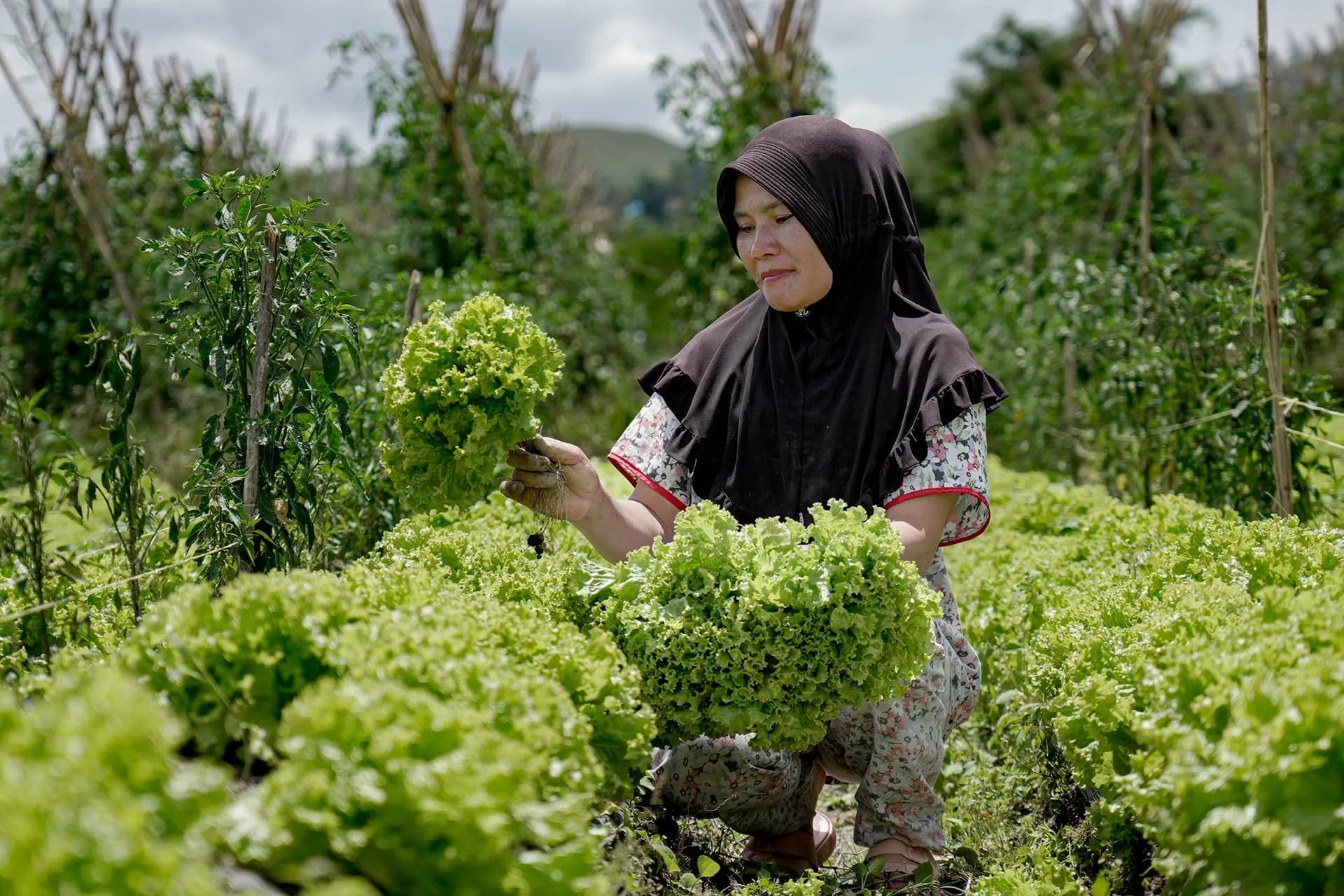 Home Statistic Image 1