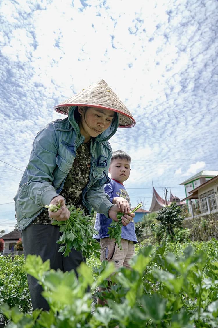 Home Statistic Image 3