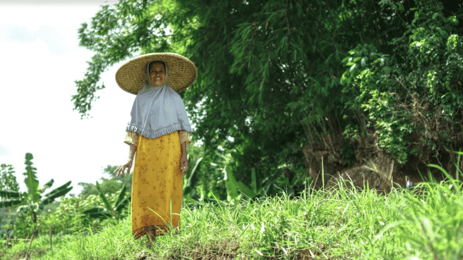 Amartha Prioritaskan Keberlangsungan Sektor Ekonomi Informal
