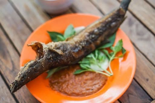 Berapa Sih Modal Usaha Pecel Lele? Ini Detailnya