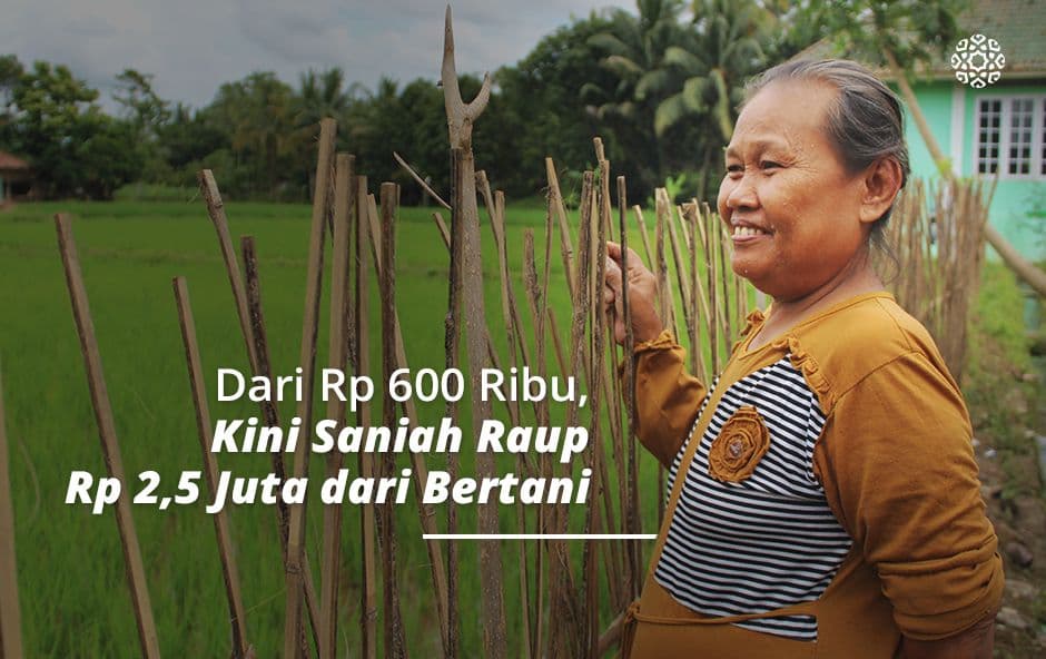 Dari Rp 600 Ribu, Kini Saniah Raup Rp 2,5 Juta dari Bertani