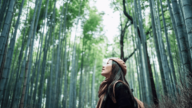 5 Cara Menghemat Uang dengan Menerapkan Gaya Hidup Go Green