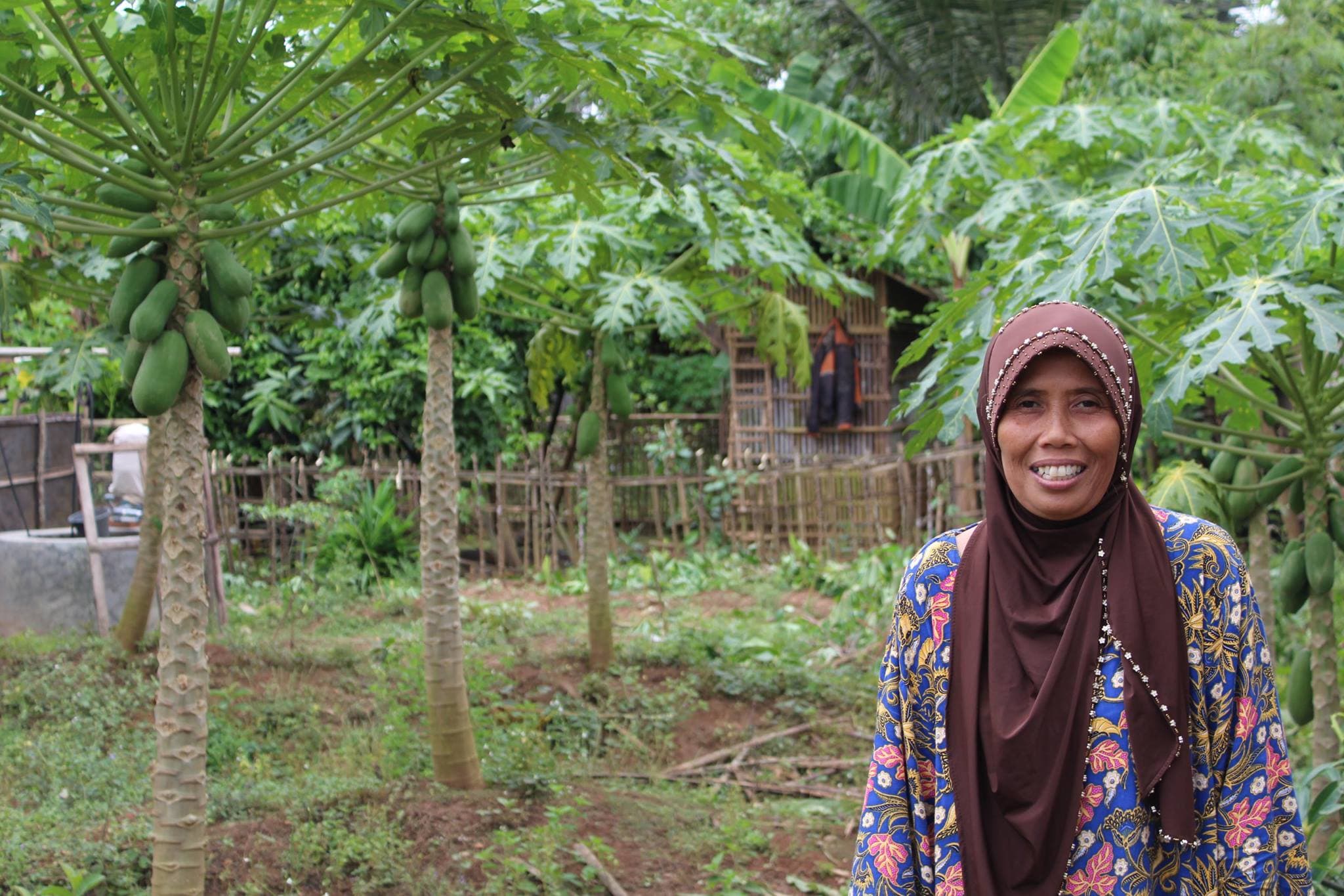 Hari Tani Nasional dan Nasib Petani Indonesia Saat Ini