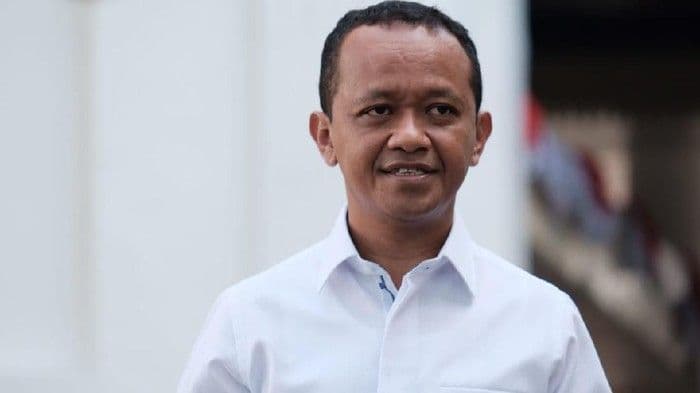 Presiden Bentuk Kementerian Investasi, Apa Saja Tugasnya?