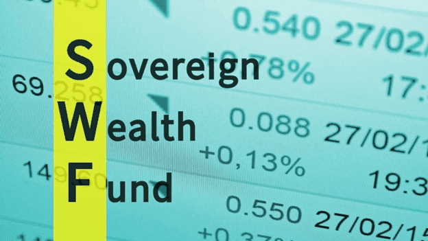 Resmi Dibentuk, Ini Manfaat SWF untuk Sustainable Development Goal (SDG)