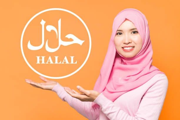 Soal Logo Halal MUI: Ini Tugas dan Fungsi MUI