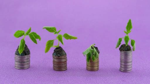 Wajib Coba! 5 Ide Investasi yang Halal dan Menguntungkan